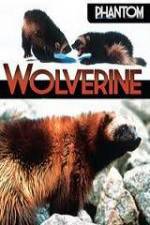 Watch National Geographic Phantom Wolverine 123movies