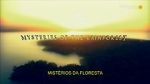 Watch Mysteries of the Rainforest 123movies