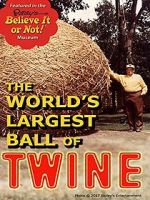 Watch Twine 123movies