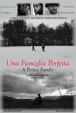 Watch A Perfect Family 123movies