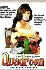 Watch Quadroon 123movies