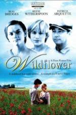 Watch Wildflower 123movies