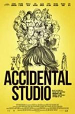 Watch An Accidental Studio 123movies