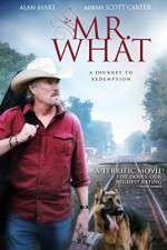 Watch Mr What 123movies