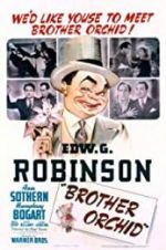 Watch Brother Orchid 123movies