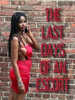 Watch The Last Days of an Escort 123movies