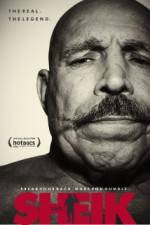 Watch The Sheik 123movies