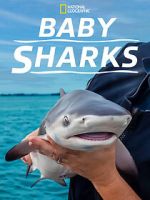 Watch Baby Sharks 123movies