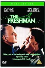 Watch The Freshman 123movies