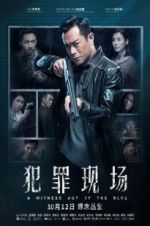 Watch A Witness out of the Blue 123movies