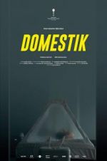Watch Domestique 123movies