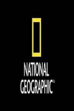 Watch National Geographic Wild Animal Attacks On Vacation 123movies
