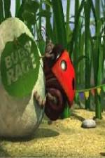 Watch Bugs Race 123movies