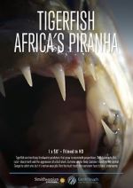 Watch Tigerfish 123movies