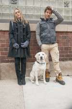 Watch Who Gets the Dog? 123movies