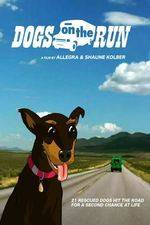 Watch Dogs on the Run 123movies