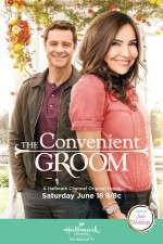Watch The Convenient Groom 123movies