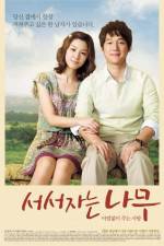 Watch Sleeping Tree 123movies