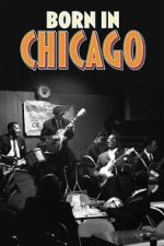 Watch Born In Chicago 123movies