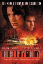 Watch Before I Say Goodbye 123movies