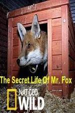 Watch The Secret Life of Mr. Fox 123movies