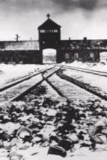 Watch AUSCHWITZ: CORRUPTION 123movies