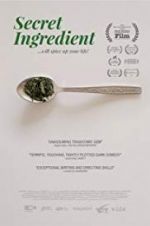 Watch Secret Ingredient 123movies