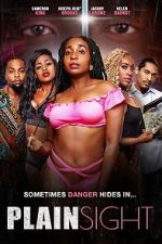 Watch Plain Sight 123movies