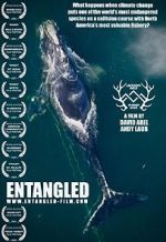 Watch Entangled: The Race to Save Right Whales from Extinction 123movies