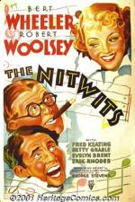Watch The Nitwits 123movies