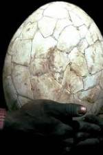 Watch Attenborough And The Giant Egg 123movies
