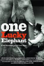 Watch En lycklig elefant 123movies