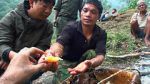 Watch Hallucinogen Honey Hunters (Short 2011) 123movies