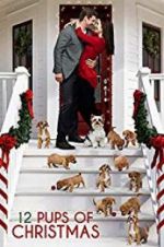 Watch 12 Pups of Christmas 123movies