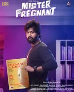 Watch Mr. Pregnant 123movies