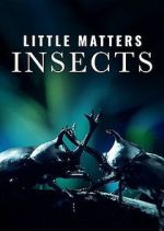 Watch Little Matters: Insects 123movies