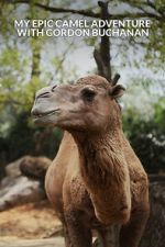 Watch My Epic Camel Adventure with Gordon Buchanan 123movies
