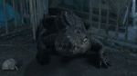 Watch Croc! 123movies