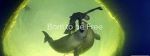 Watch Born to Be Free 123movies