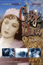 Watch Die Frau aus Chicago 123movies