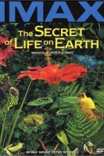 Watch The Secret of Life on Earth 123movies