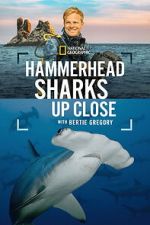 Watch Hammerhead Sharks Up Close with Bertie Gregory 123movies