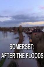 Watch Somerset: After the Floods 123movies