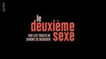 Watch Looking for Simone 123movies