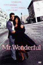 Watch Mr Wonderful 123movies