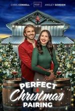 Watch A Perfect Christmas Pairing 123movies