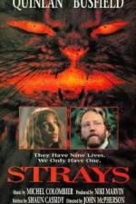Watch Strays 123movies
