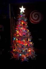 Watch O' Christmas Tree 123movies