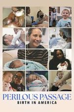 Watch Perilous Passage: Birth in America 123movies