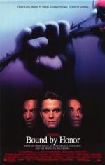 Watch Blood In, Blood Out 123movies